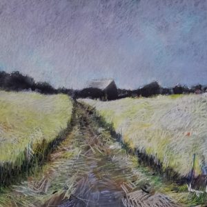 Aranymezők között